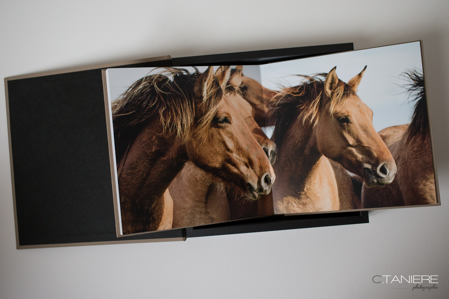 Christophe Taniere présentera son livre sur le thème du cheval de Picardie, le « Henson » les 4, 5 & 6 Juin 2015 à Chantilly