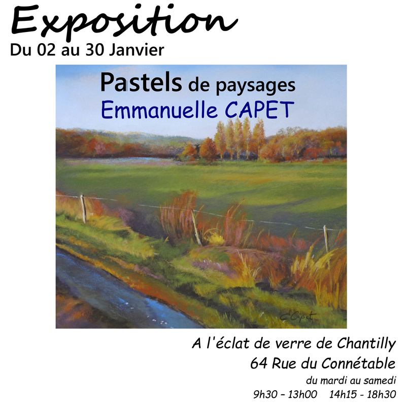 exposition à Chantilly Pastels Emmanuelle Capet