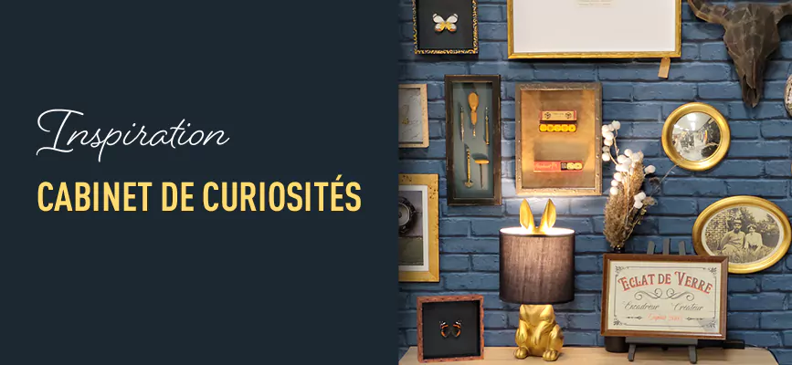 Le cabinet de curiosités en décoration