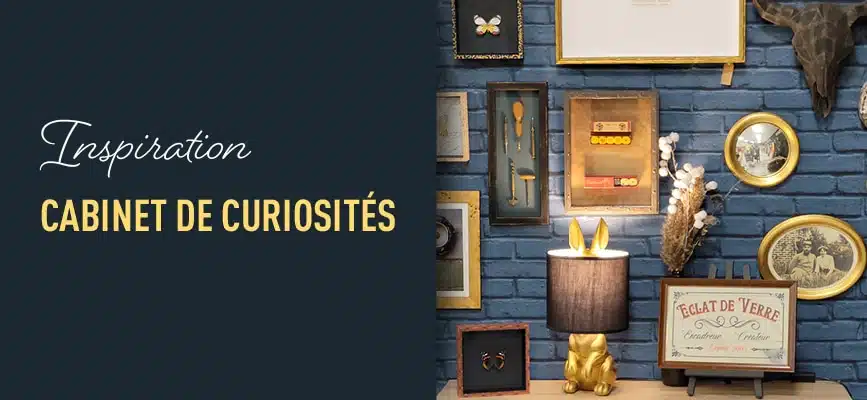 Le cabinet de curiosités en décoration