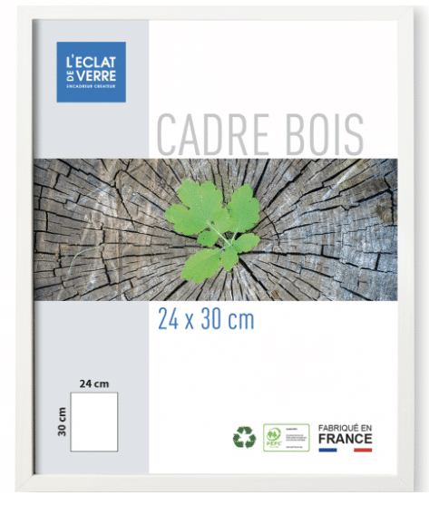 Capture d'écran 2024-05-14 114513